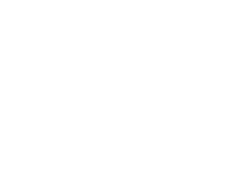 lexus.png